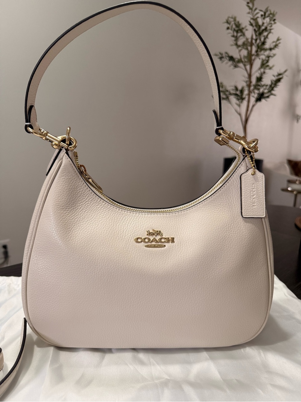 Coach Teri Hobo Bag in Refined Pebble Leather (Chalk/Gold) New
